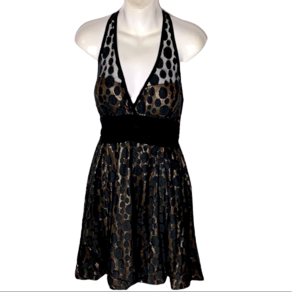 Aggie lace cocktail party dress backless size Medium